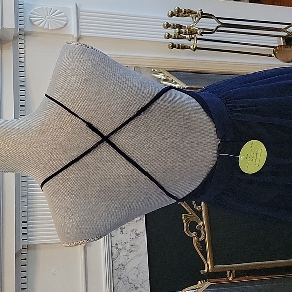 Windsor Elizabeth Pleated Tulle Maxi Dress - Picture 9 of 13